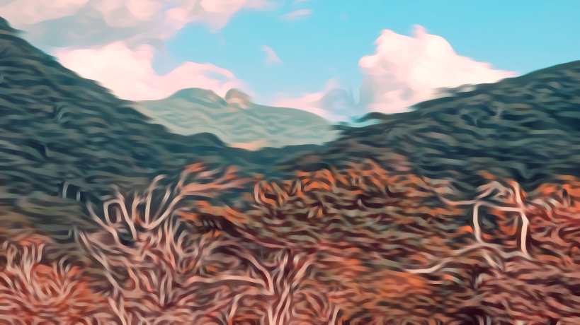 Was sagt ein Bild aus?